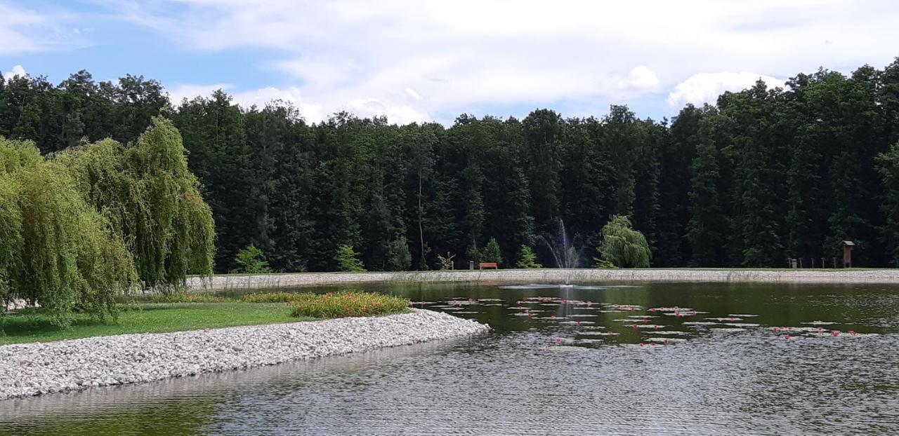 Antal Apartmanok Zalakaros Esterno foto