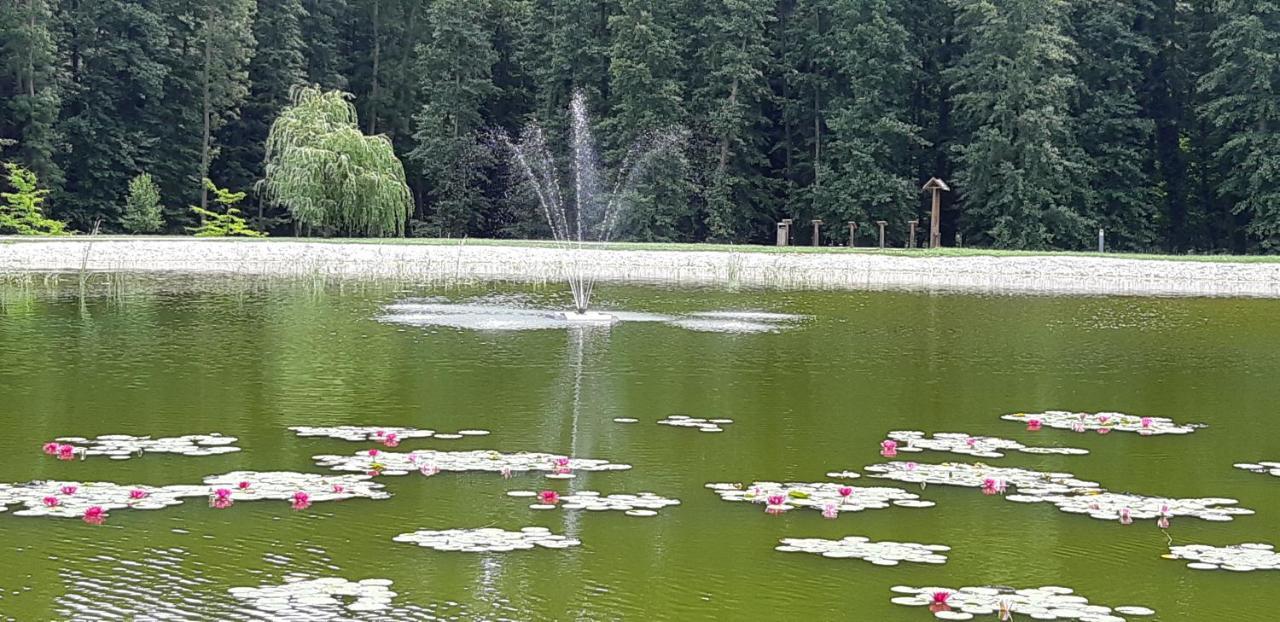 Antal Apartmanok Zalakaros Esterno foto